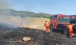 Bingöl'de çıkan örtü yangını ormana sıçramadan söndürüldü